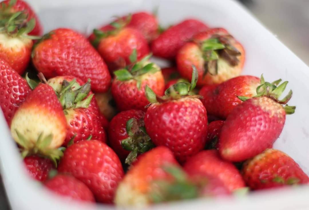 189074521_4299383963413787_946755083801827673_n