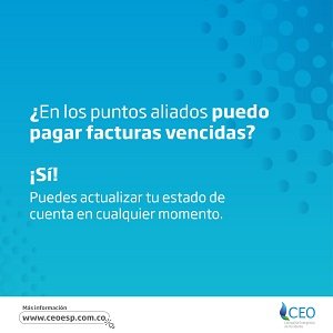 191245570_4082533731842198_2250570973341631466_n