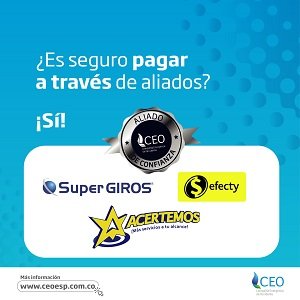 194544407_4082533555175549_6127678640289772530_n