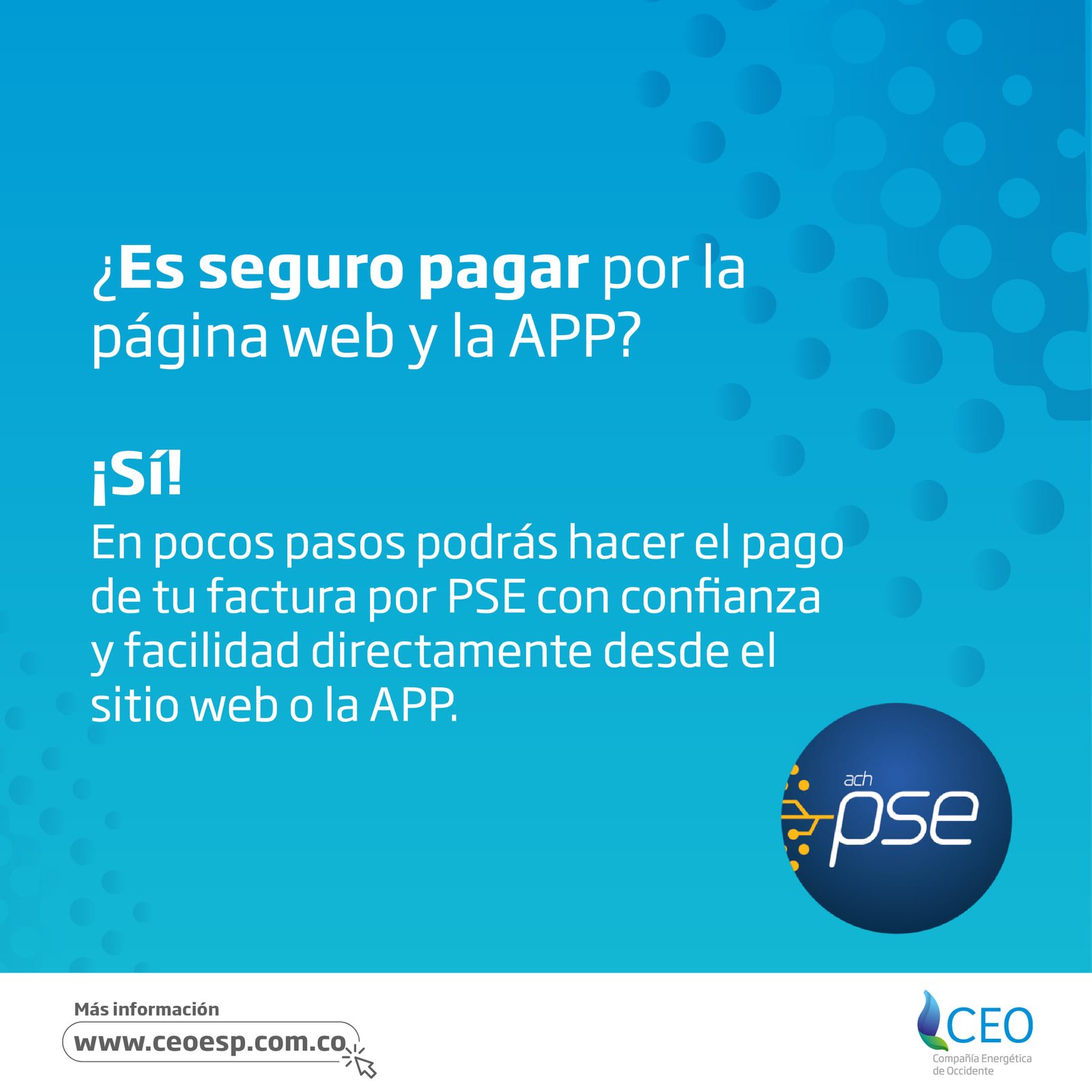 194993088_4082533848508853_1568480241799630044_n