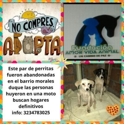 198701996_4396268063725376_7866130464450814459_n