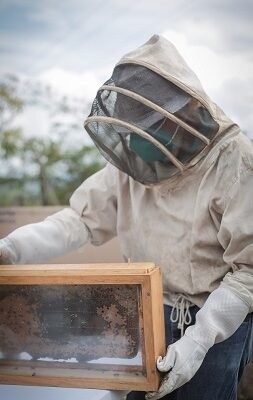 201533737_2082598078559082_733897330263327622_n