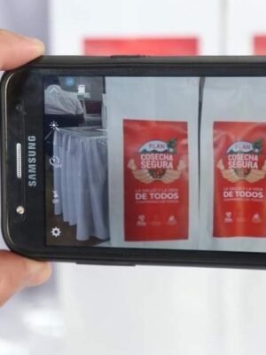 179186840_4214996425185875_5630649869335101421_n