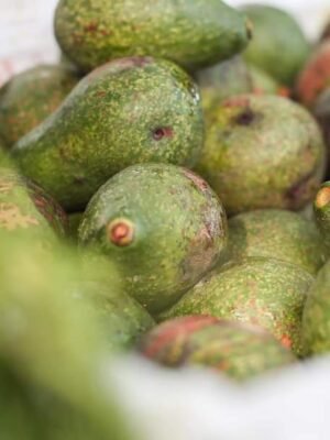 182568146_4260255763993274_2884003638219535036_n