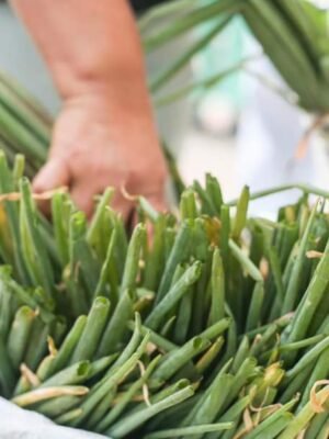 183211113_4260255640659953_913320814229107819_n