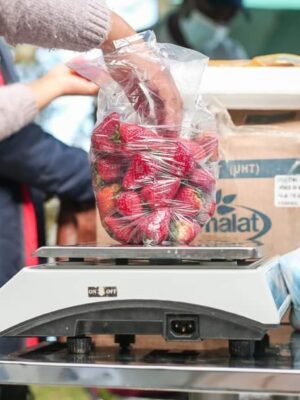 183440358_4260255580659959_2331091550237247437_n