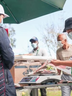 184175383_4260256007326583_5969548480940558988_n