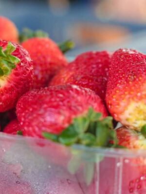 185298438_4260256080659909_6444016987301881291_n