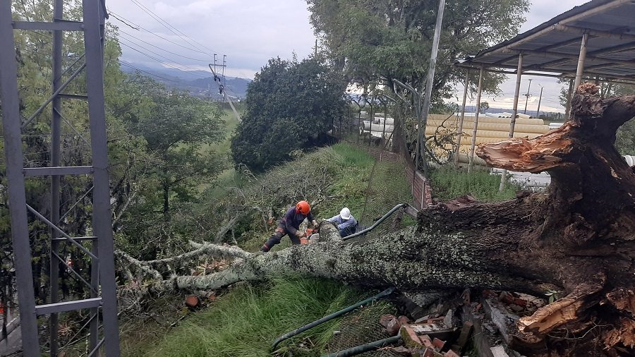 Caída de árbol causa ausencia del servicio de energía eléctrica en el Norte de Popayán 33 20210521_175721