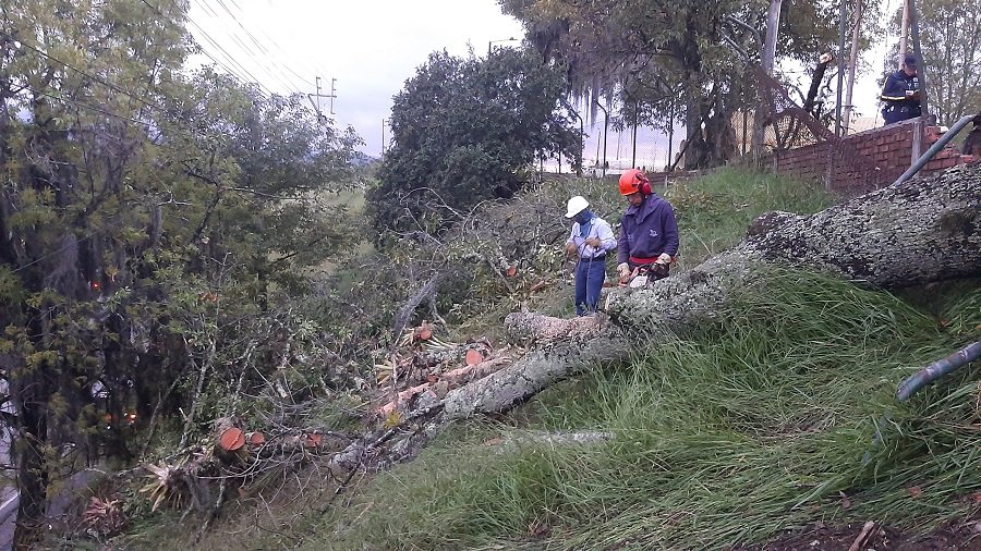 Caída de árbol causa ausencia del servicio de energía eléctrica en el Norte de Popayán 30 20210521_181258