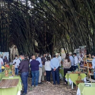 207728651_2090267081125515_2654830458518247955_n