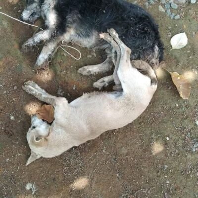 220983456_4485963148089200_2540499709047482281_n