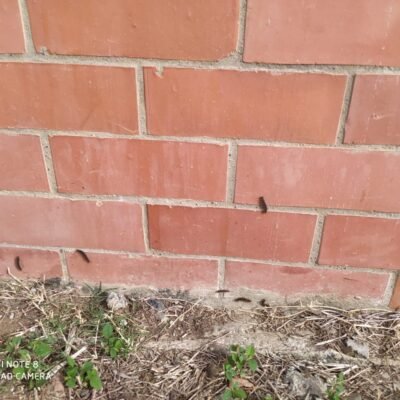 223134999_4470456809639834_4632765709133643850_n