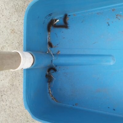 223447416_4470456462973202_7890616655713725777_n