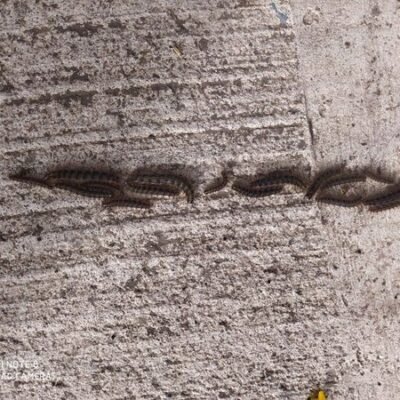 224695758_4470456332973215_2566942628831839645_n