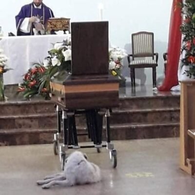 234688203_4517366818282166_6787550079081651233_n