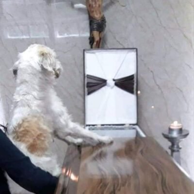 235736138_4517366694948845_5262529827279246032_n