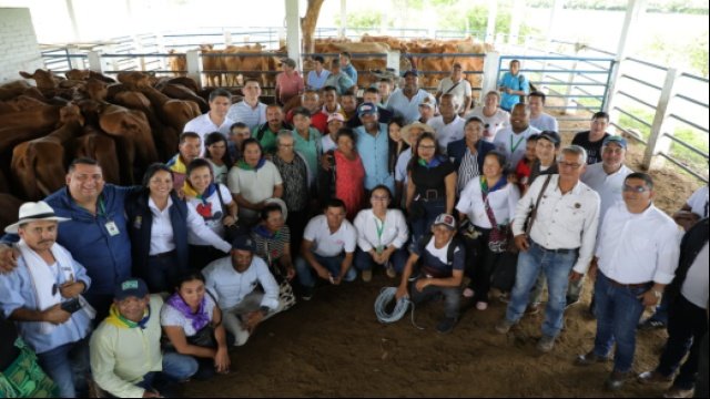 30 familias de Mercaderes y Bolívar dan testimonio de la formalización de la economía rural en el Cauca-
