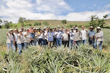 336 Pineros beneficiados gracias a importante inversion del Gobierno Departamental