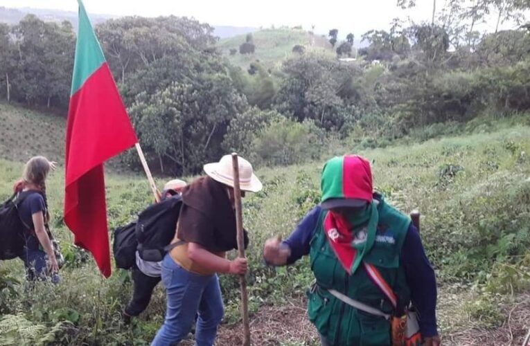 4 menores de edad fueron secuestrados en zona rural de Caloto, Cauca