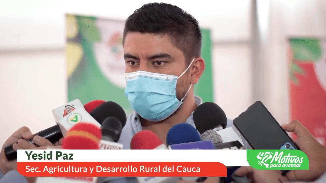 Abriendo nuevos mercados con el fortalecimiento de proyectos de aguacate hass y fresa