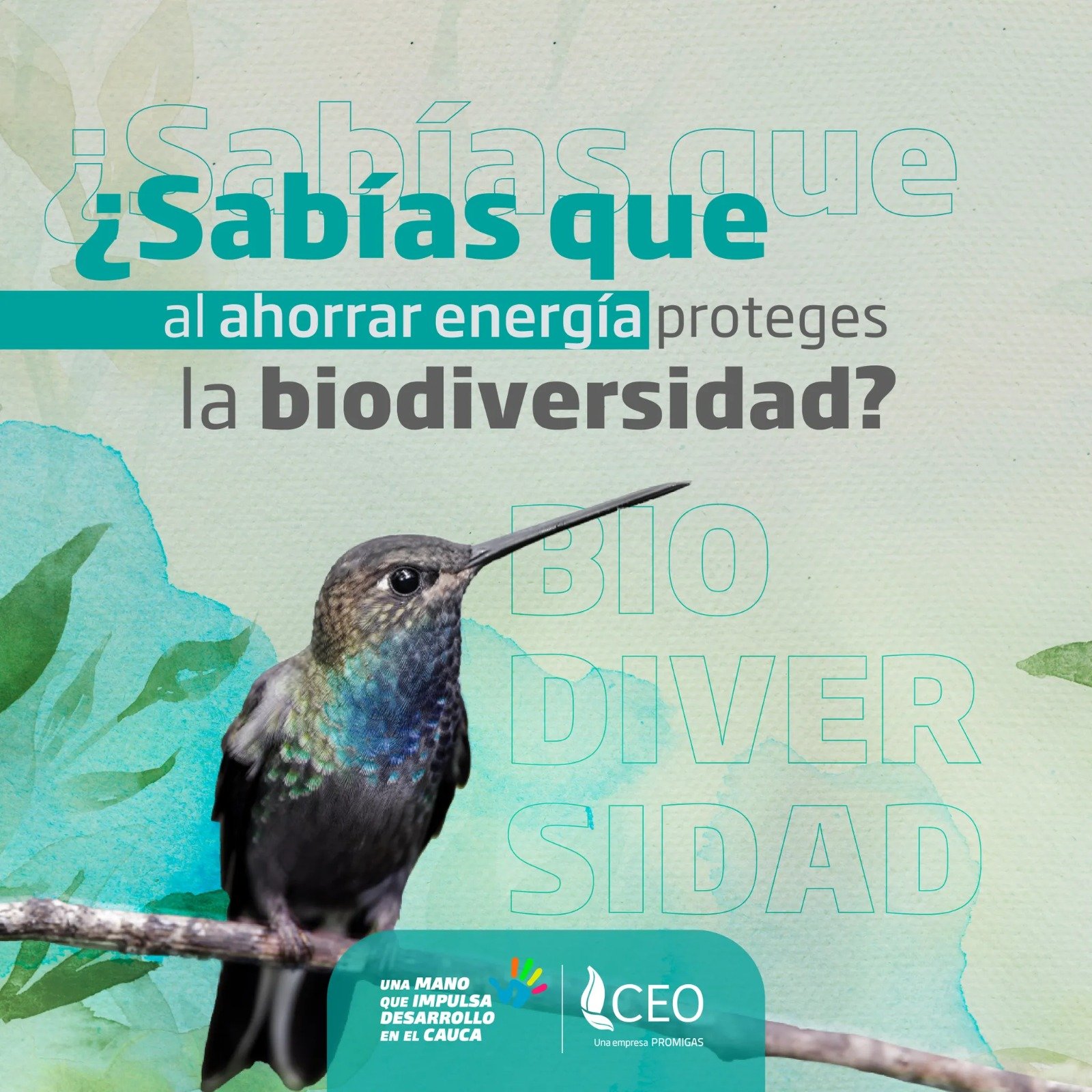 Ahorra energía y protege el medio ambiente