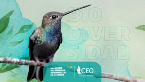 Ahorra energía y protege el medio ambiente