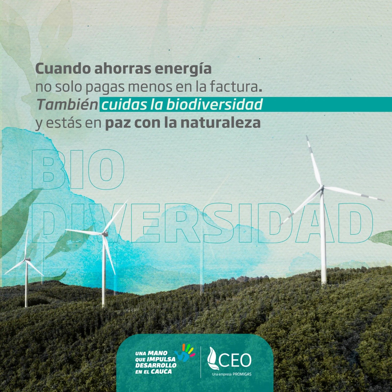 Ahorra energía y protege el medio ambiente