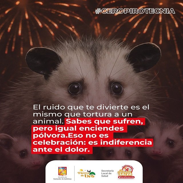 Alcaldía de Quilichao Promueve #CeroPirotecnia para Proteger a los Animales en Navidad
