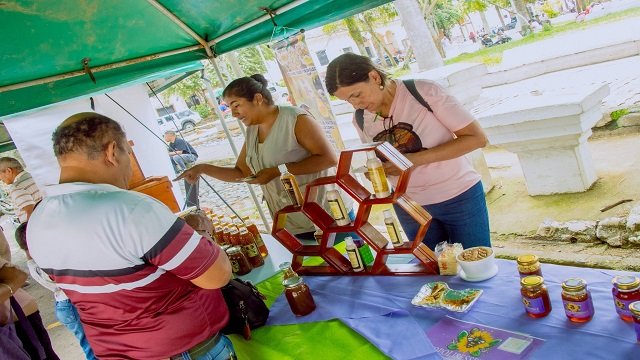 Apicultores del Norte del Cauca Fortalecen sus Conocimientos en Santander de Quilichao