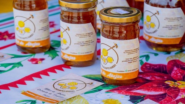 Apicultores del Norte del Cauca Fortalecen sus Conocimientos en Santander de Quilichao