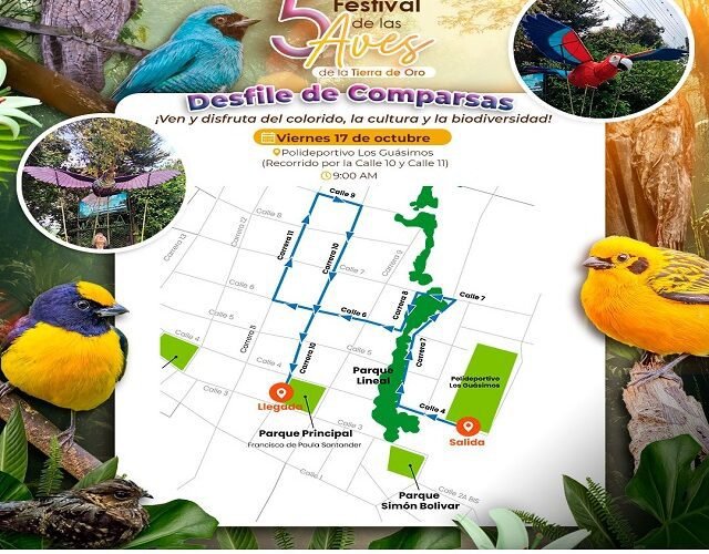 🐦 Arte y Biodiversidad: El Desfile de Comparsas Llena de Color y Alegría el 5to Festival de las Aves Tierra de Oro