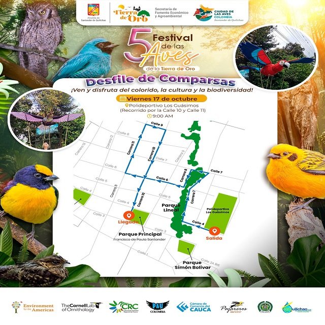 Arte y Biodiversidad - El Desfile de Comparsas Llena de Color y Alegría el 5to Festival de las Aves Tierra de Oro