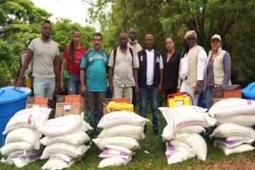 CULTIVADORES DE PINA RECHAZAN LA INFORMACION QUE CIRCULA EN REDES SOCIALES SOBRE PROYECTO QUE BENEFICIA A MAS DE 330 FAMILIAS