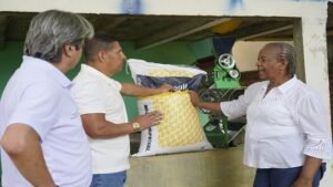 Café y escuela ¡una fórmula educativa que florece en el Cauca!