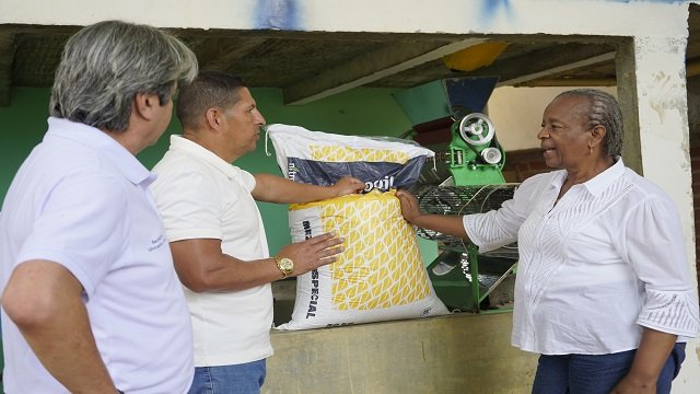Escuela y Café: una apuesta por la educación rural en el Cauca