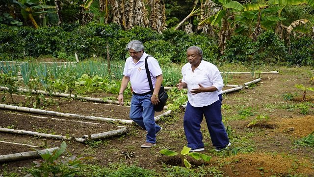 Café y escuela ¡una fórmula educativa que florece en el Cauca!