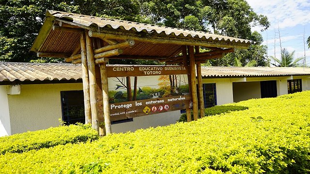 Café y escuela ¡una fórmula educativa que florece en el Cauca!