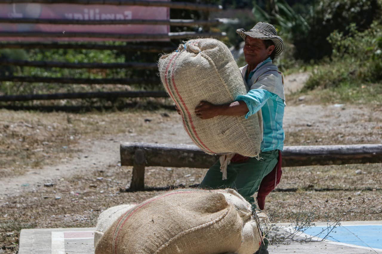 Caficultura familiar10