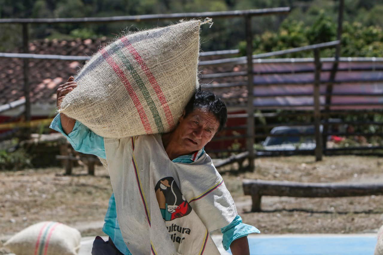 Caficultura familiar11