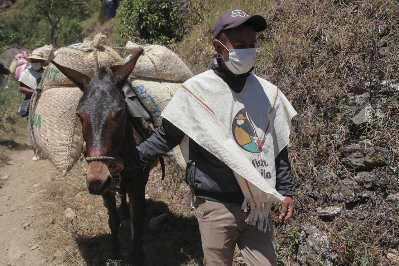 Caficultura familiar12