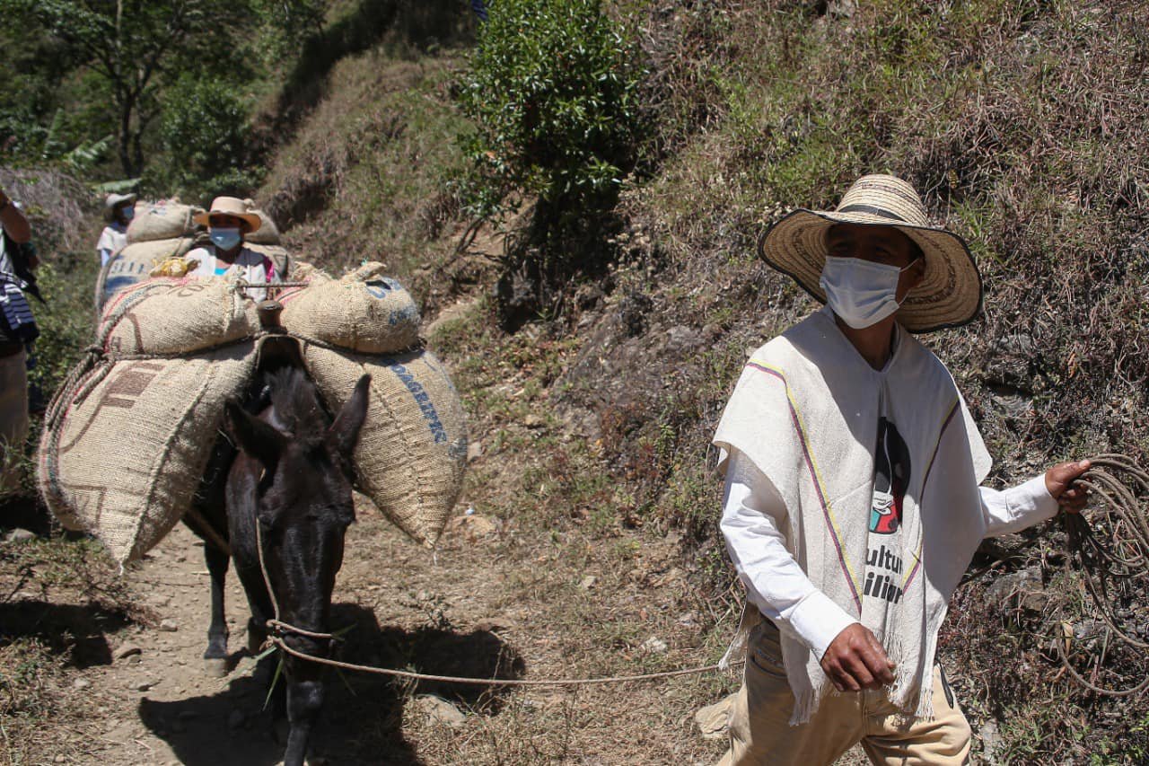 Caficultura familiar5