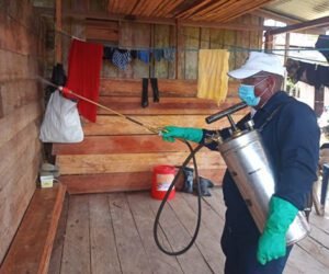 Cauca adelanta acciones para control de enfermedades transmitidas por vectores