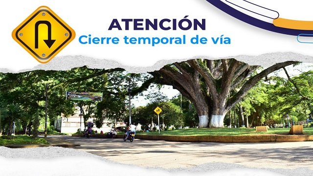 Cierre temporal de la Calle 3 en Santander de Quilichao por caída de árbol y afectación de poste