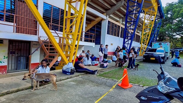 Compromiso con la vida! Avanzan las jornadas de esterilización gratuita en Santander de Quilichao