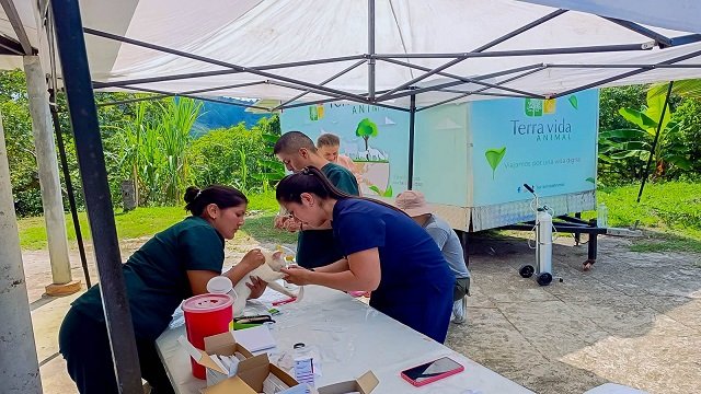 Compromiso con la vida! Avanzan las jornadas de esterilización gratuita en Santander de Quilichao