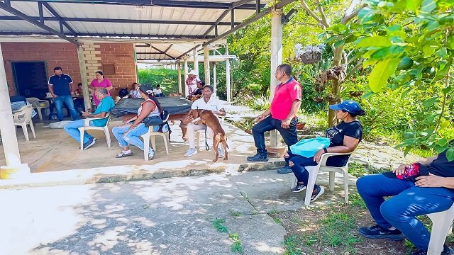 Compromiso con la vida! Avanzan las jornadas de esterilización gratuita en Santander de Quilichao
