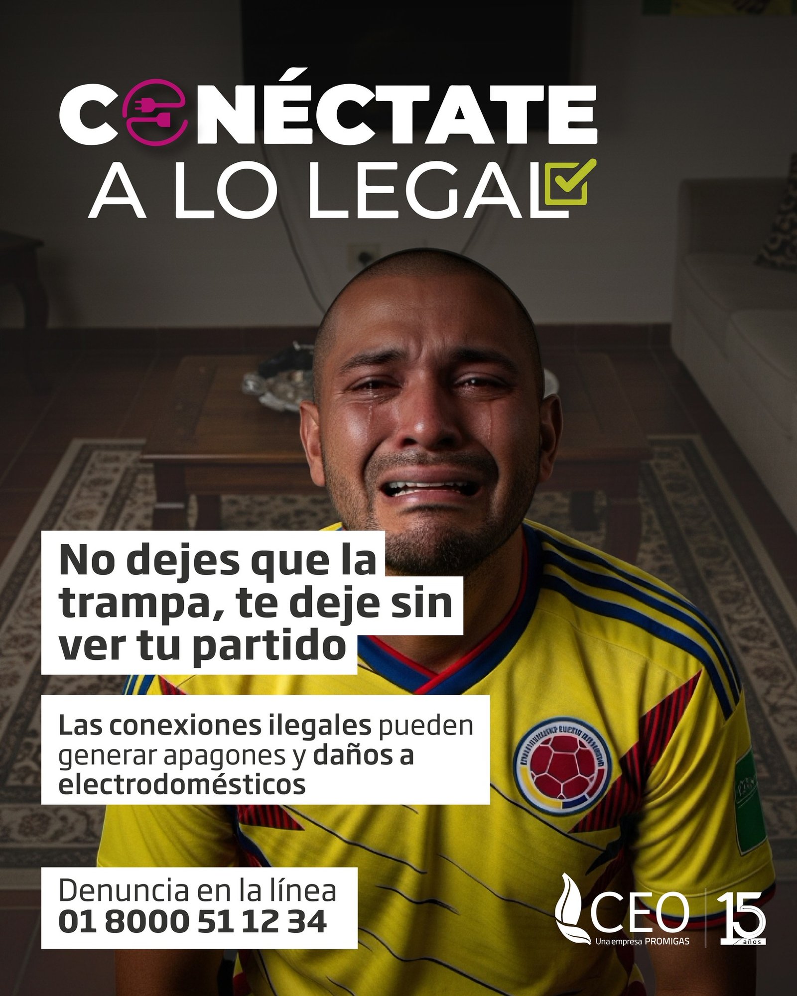 Conectate a lo legal - CEO-