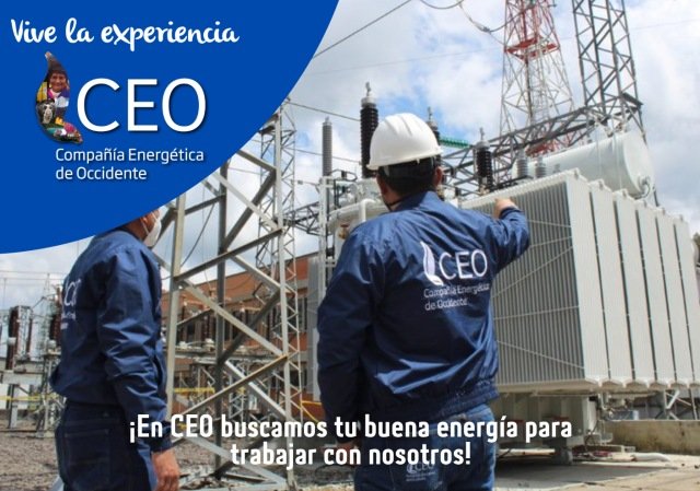 Convocatoria externa Profesional de Conexiones 1