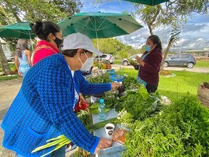 DEL CAMPO CAUCANO A TU MESA7